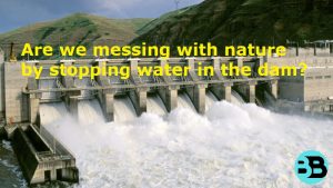 Interfering with Nature: The Implications of Stopping Water in Dams