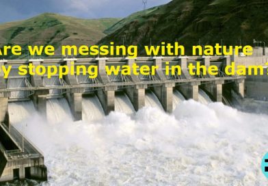 Interfering with Nature: The Implications of Stopping Water in Dams
